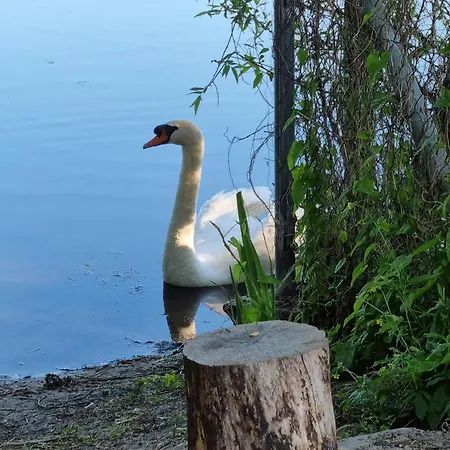 Port Klimatyczny Z Basenem, Jacuzzi, Sauna I Klimatyzacja- Admus *